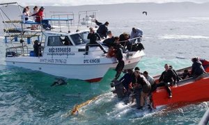 Hofsaak van Haaiboot tragedie in volle swang